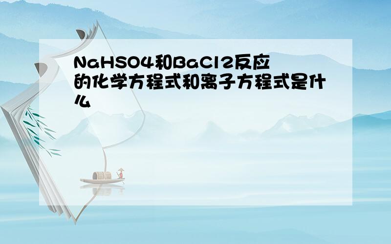 NaHSO4和BaCl2反应的化学方程式和离子方程式是什么