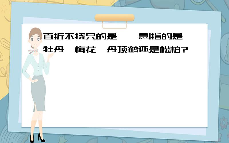 百折不挠只的是……急!指的是牡丹、梅花、丹顶鹤还是松柏?