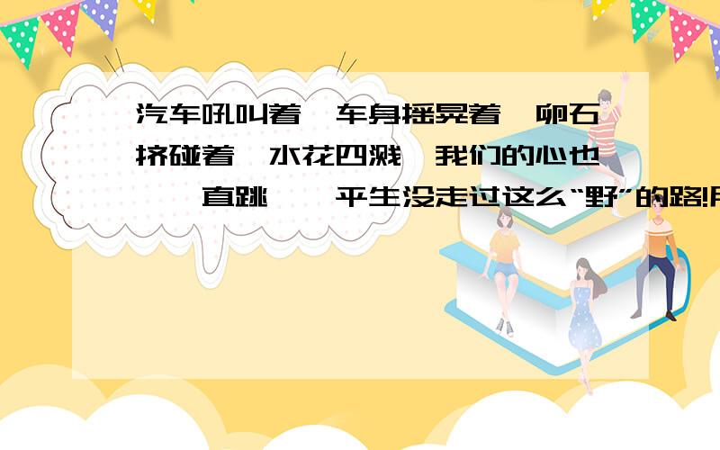 汽车吼叫着,车身摇晃着,卵石挤碰着,水花四溅,我们的心也怦怦直跳……平生没走过这么“野”的路!用简洁的话写出你想象到的画面