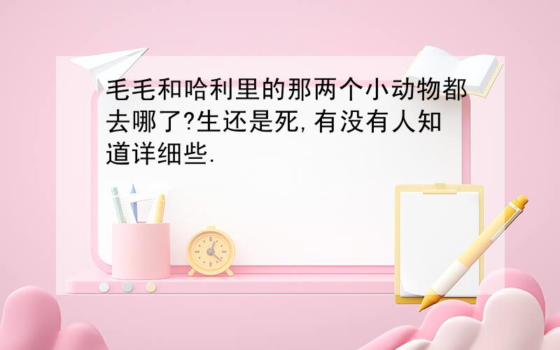 毛毛和哈利里的那两个小动物都去哪了?生还是死,有没有人知道详细些.