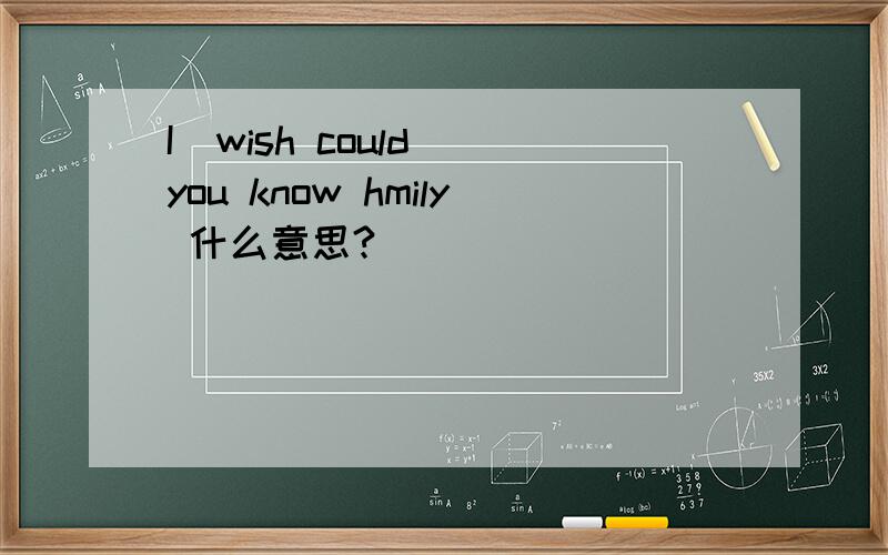 I  wish could you know hmily 什么意思?