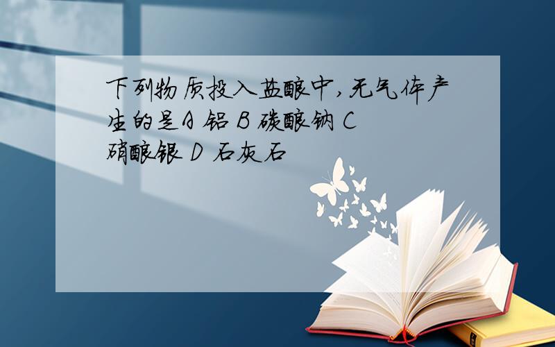 下列物质投入盐酸中,无气体产生的是A 铝 B 碳酸钠 C硝酸银 D 石灰石