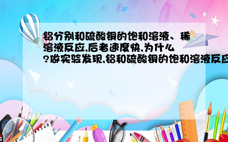 铝分别和硫酸铜的饱和溶液、稀溶液反应,后者速度快,为什么?做实验发现,铝和硫酸铜的饱和溶液反应时,反应很长时间,铝片上也看不到红色铜析出,而铝和稀硫酸铜溶液反应时,很短时间就看