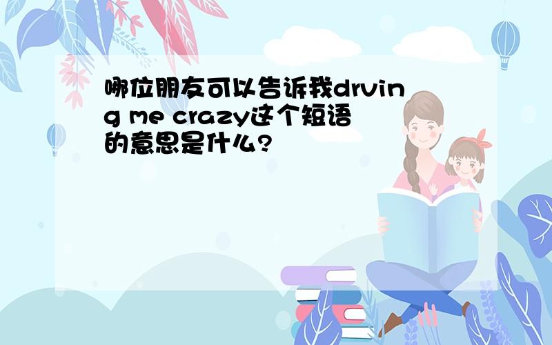 哪位朋友可以告诉我drving me crazy这个短语的意思是什么?