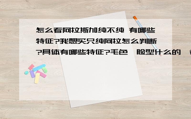 怎么看阿拉斯加纯不纯 有哪些特征?我想买只纯阿拉怎么判断?具体有哪些特征?毛色,脸型什么的,希望懂的人给点知识...