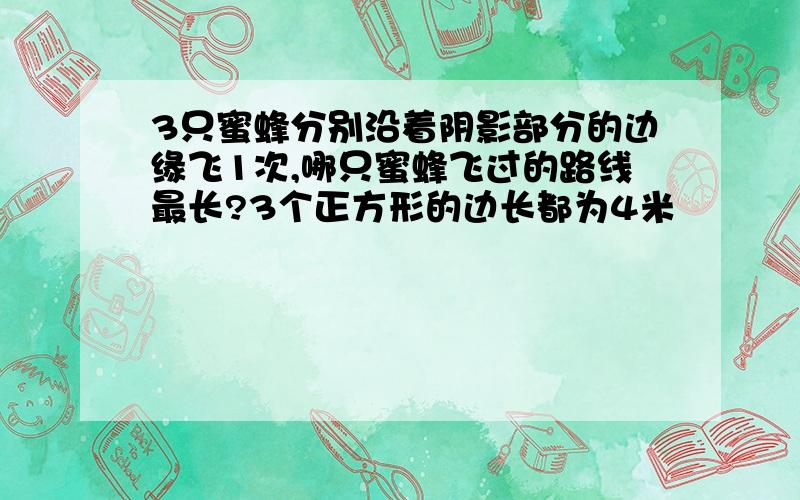 3只蜜蜂分别沿着阴影部分的边缘飞1次,哪只蜜蜂飞过的路线最长?3个正方形的边长都为4米