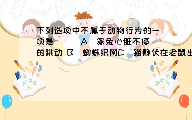 下列选项中不属于动物行为的一项是（ ） A．家兔心脏不停的跳动 B．蜘蛛织网C．猫静伏在老鼠出没的洞口 D．蝙蝠白天栖息于岩壁上