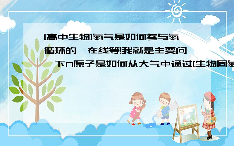 [高中生物]氮气是如何参与氮循环的,在线等!我就是主要问一下N原子是如何从大气中通过[生物固氮][硝化作用][反硝化作用][氨化作用]参与氮循环的?是N2通过固氮作用变成NH3?NH3再通过硝化作