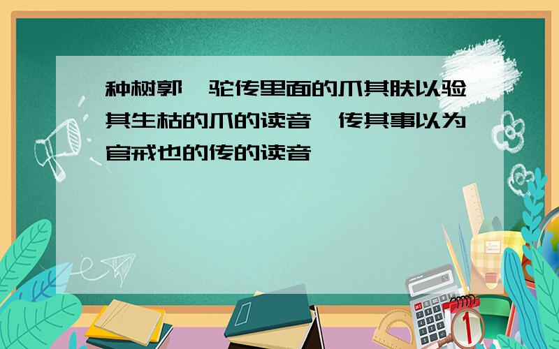 种树郭橐驼传里面的爪其肤以验其生枯的爪的读音,传其事以为官戒也的传的读音