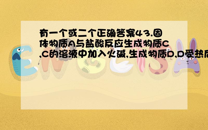 有一个或二个正确答案43.固体物质A与盐酸反应生成物质C,C的溶液中加入火碱,生成物质D,D受热后又得到物质A,则A可能是…………………………………………………………………………………