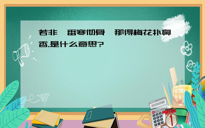 若非一番寒彻骨,那得梅花扑鼻香.是什么意思?