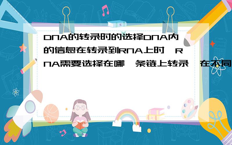 DNA的转录时的选择DNA内的信息在转录到RNA上时,RNA需要选择在哪一条链上转录,在不同的链上转录可能会出现完全不同的结果.那么DNA在转录时,RNA是如何选择的?