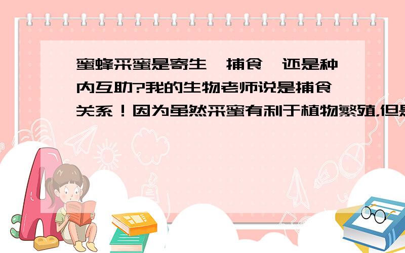 蜜蜂采蜜是寄生,捕食,还是种内互助?我的生物老师说是捕食关系！因为虽然采蜜有利于植物繁殖，但是从同化的角度蜜蜂确实捕食了植物