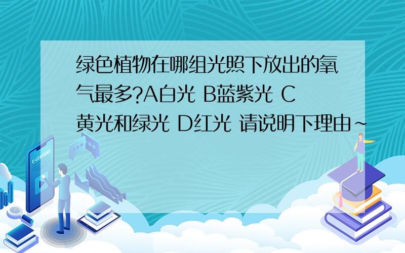 绿色植物在哪组光照下放出的氧气最多?A白光 B蓝紫光 C黄光和绿光 D红光 请说明下理由~