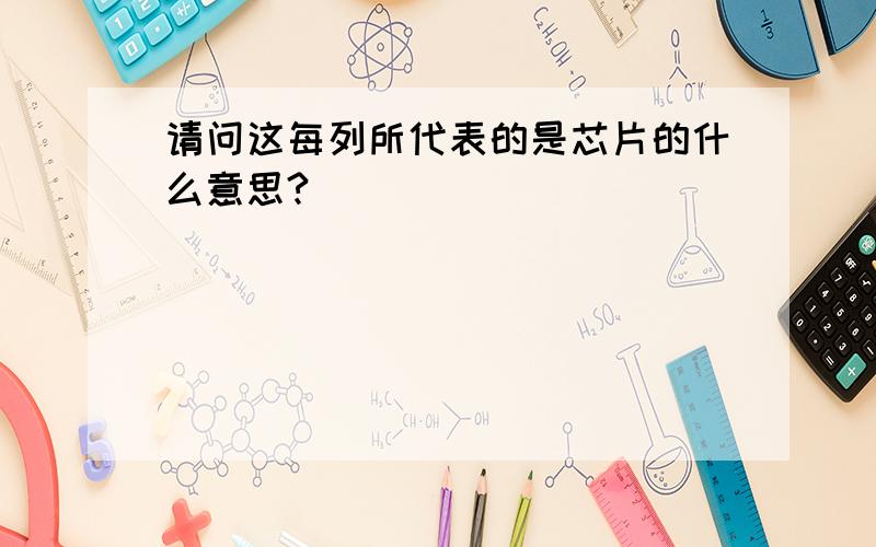 请问这每列所代表的是芯片的什么意思?