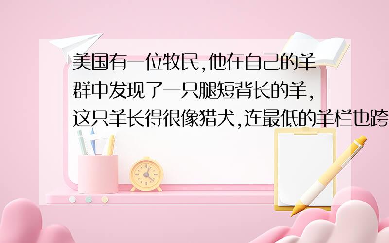 美国有一位牧民,他在自己的羊群中发现了一只腿短背长的羊,这只羊长得很像猎犬,连最低的羊栏也跨不过去后来,他用这只羊培育成了一种腿短背长的良种羊——安康羊.这有什么道理?关于遗