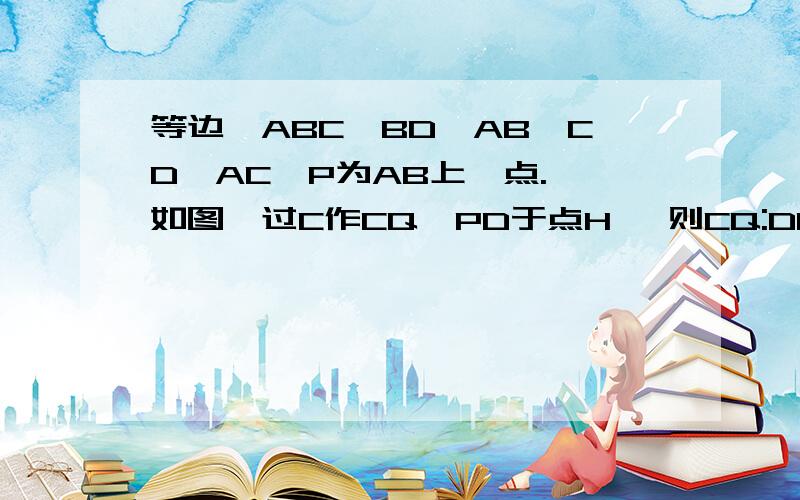 等边△ABC,BD⊥AB,CD⊥AC,P为AB上一点. 如图,过C作CQ⊥PD于点H ,则CQ:DP