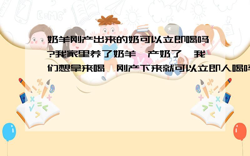 奶羊刚产出来的奶可以立即喝吗?我家里养了奶羊,产奶了,我们想拿来喝,刚产下来就可以立即人喝吗?要不要通过怎么处理的?