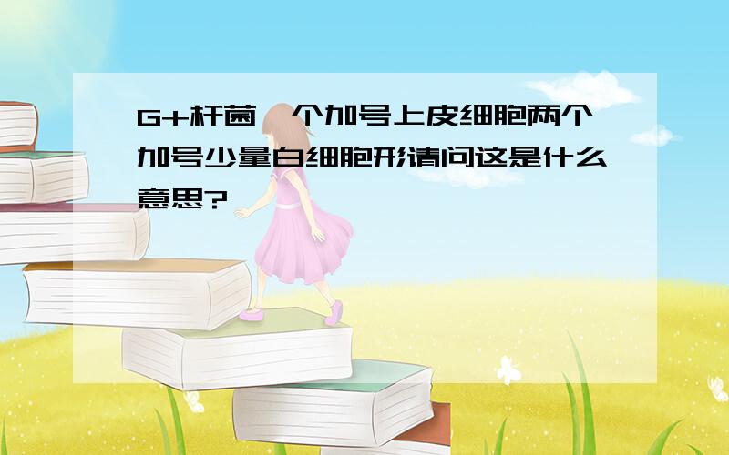 G+杆菌一个加号上皮细胞两个加号少量白细胞形请问这是什么意思?