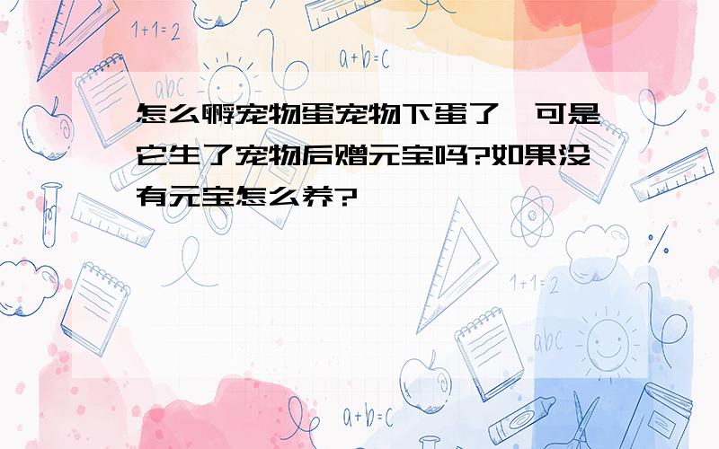 怎么孵宠物蛋宠物下蛋了,可是它生了宠物后赠元宝吗?如果没有元宝怎么养?