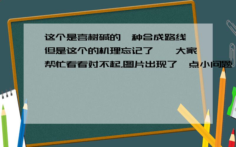 这个是喜树碱的一种合成路线,但是这个的机理忘记了……大家帮忙看看对不起，图片出现了一点小问题……