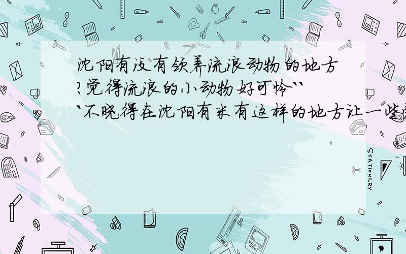 沈阳有没有领养流浪动物的地方?觉得流浪的小动物好可怜```不晓得在沈阳有米有这样的地方让一些爱心人士去照顾它们?