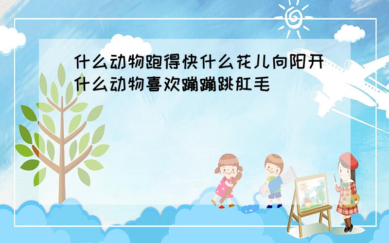 什么动物跑得快什么花儿向阳开什么动物喜欢蹦蹦跳肛毛