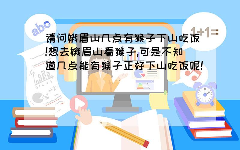 请问娥眉山几点有猴子下山吃饭!想去娥眉山看猴子,可是不知道几点能有猴子正好下山吃饭呢!