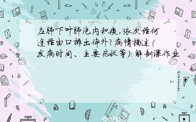 左肺下叶肺泡内积痰,依次经何途经由口排出体外?病情描述(发病时间、主要症状等)：解剖课作业