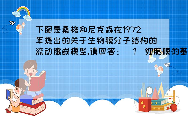 下图是桑格和尼克森在1972年提出的关于生物膜分子结构的流动镶嵌模型,请回答：(1)细胞膜的基下图是桑格和尼克森在1972年提出的关于生物膜分子结构的流动镶嵌模型,请回答： (1)细胞膜的