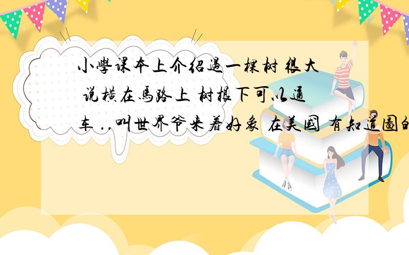 小学课本上介绍过一棵树 很大 说横在马路上 树根下可以通车 ..叫世界爷来着好象 在美国 有知道图的没 ..真的没人知道那图么...大概是95年到01年 那会的小学课本上的一个图难道那棵树 现