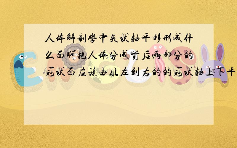 人体解剖学中矢状轴平移形成什么面啊把人体分成前后两部分的冠状面应该由从左到右的的冠状轴上下平移得到啊.矢状轴怎么平移也不能形成冠状面啊