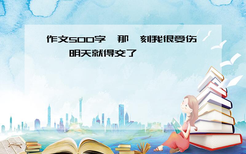 作文500字《那一刻我很受伤》,明天就得交了