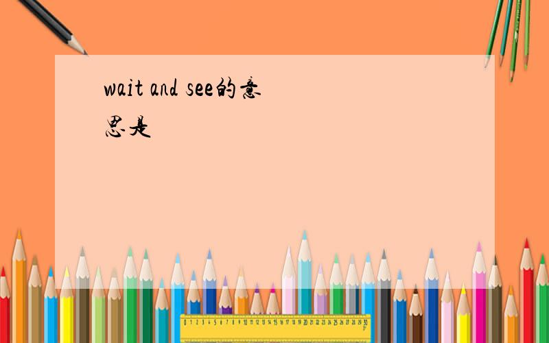 wait and see的意思是