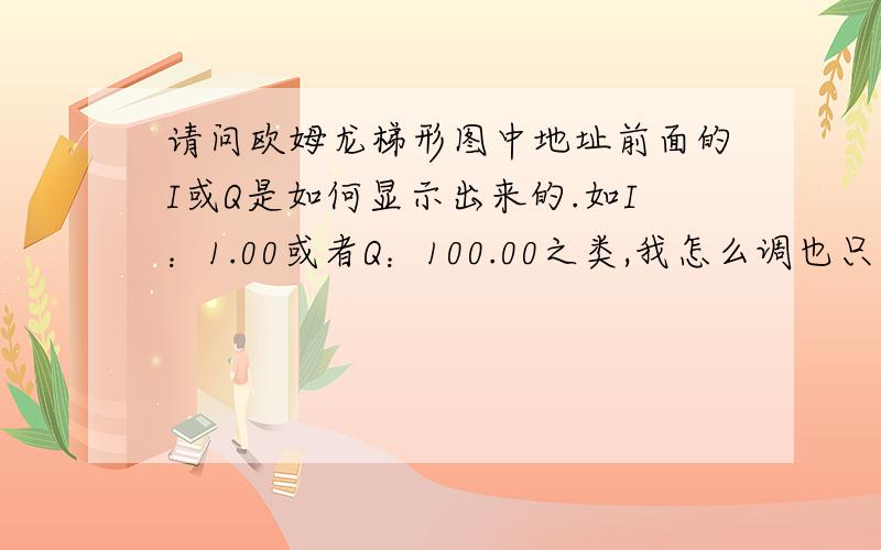 请问欧姆龙梯形图中地址前面的I或Q是如何显示出来的.如I：1.00或者Q：100.00之类,我怎么调也只是1.00啊