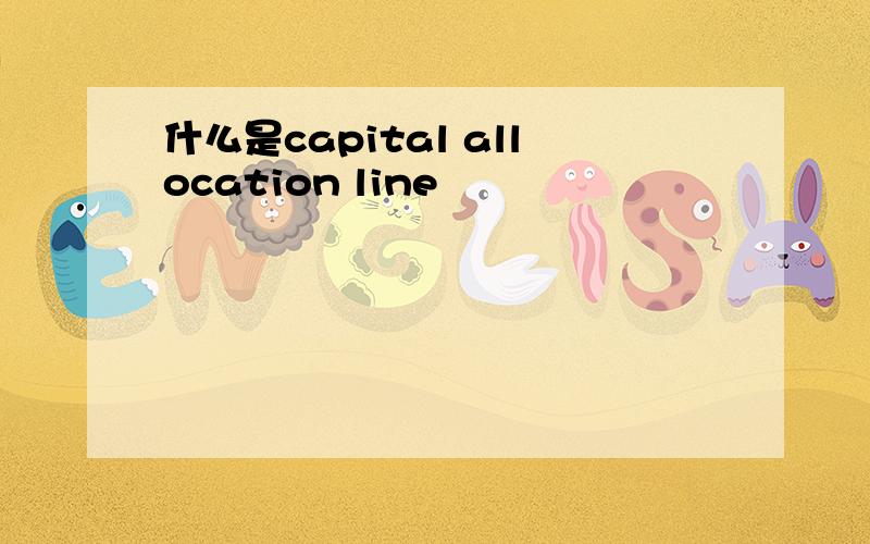 什么是capital allocation line