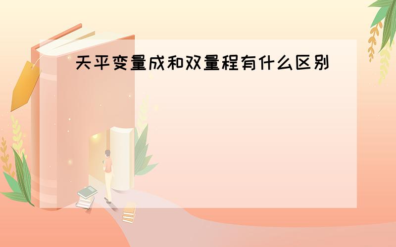 天平变量成和双量程有什么区别