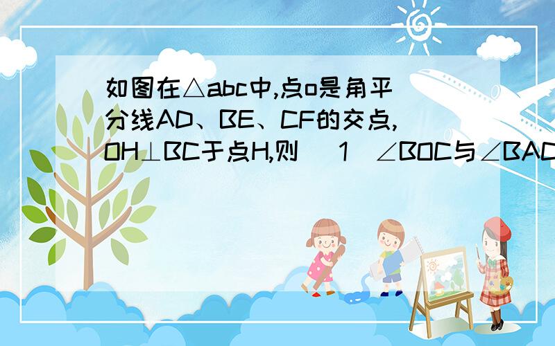 如图在△abc中,点o是角平分线AD、BE、CF的交点,OH⊥BC于点H,则 （1）∠BOC与∠BAC有何数量关系?（2）你还可以类比推出哪些角之间有∠BOC与∠BAC那样的数量关系?