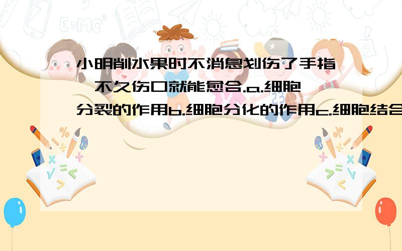 小明削水果时不消息划伤了手指,不久伤口就能愈合.a.细胞分裂的作用b.细胞分化的作用c.细胞结合的作用d.细胞凝固的作用帮我分析?