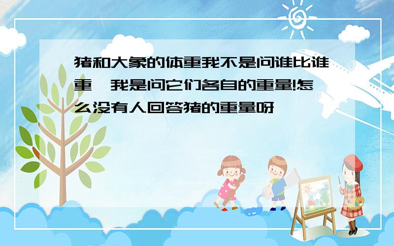 猪和大象的体重我不是问谁比谁重,我是问它们各自的重量!怎么没有人回答猪的重量呀