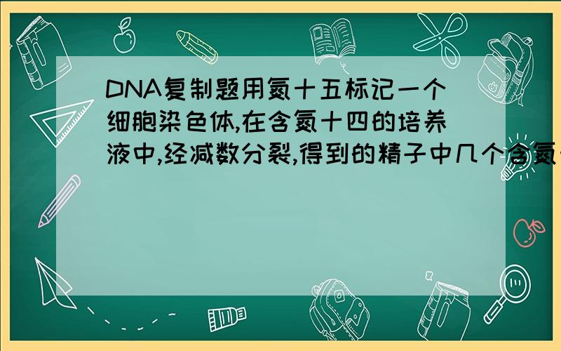 DNA复制题用氮十五标记一个细胞染色体,在含氮十四的培养液中,经减数分裂,得到的精子中几个含氮十五,那经有丝分裂呐?