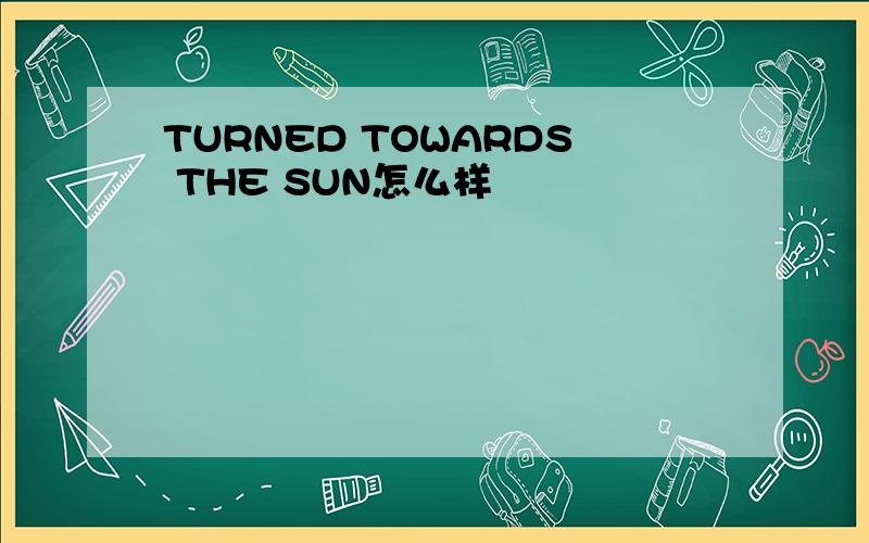 TURNED TOWARDS THE SUN怎么样