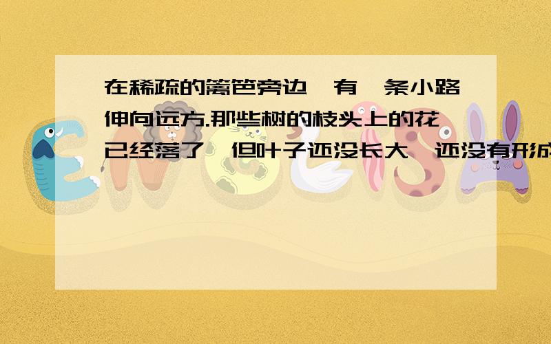 在稀疏的篱笆旁边,有一条小路伸向远方.那些树的枝头上的花已经落了,但叶子还没长大,还没有形成树阴.儿童奔跑着追逐黄色的蝴蝶.黄色的蝴蝶飞入金黄的菜花丛中,找也找不到了.这是一首