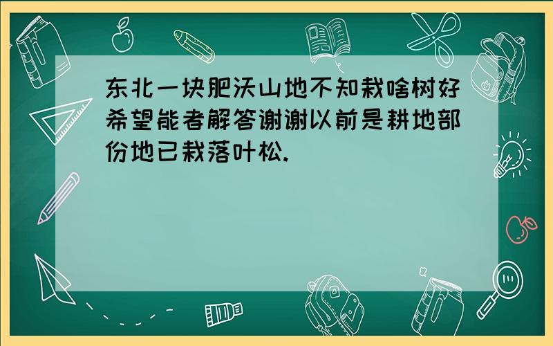 东北一块肥沃山地不知栽啥树好希望能者解答谢谢以前是耕地部份地已栽落叶松.