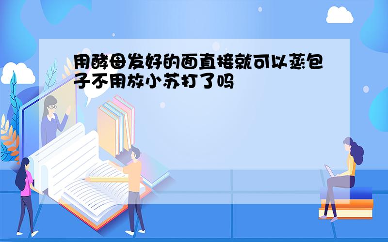 用酵母发好的面直接就可以蒸包子不用放小苏打了吗