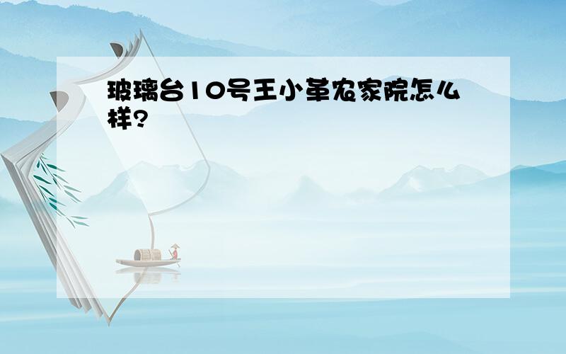 玻璃台10号王小革农家院怎么样?