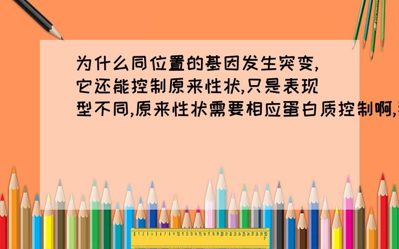 为什么同位置的基因发生突变,它还能控制原来性状,只是表现型不同,原来性状需要相应蛋白质控制啊,那基因突变,蛋白质不就改变了吗?还控制原来性状吗?