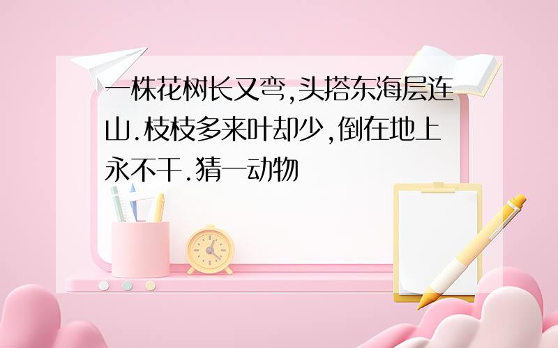 一株花树长又弯,头搭东海层连山.枝枝多来叶却少,倒在地上永不干.猜一动物