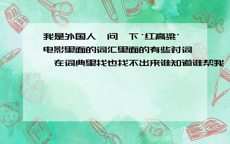 我是外国人,问一下‘红高粱’电影里面的词汇里面的有些对词,在词典里找也找不出来谁知道谁帮我一下吧 用汉语解释就可以了 1.阴不阴的 阳不阳的 2.歪腔邪调 邪调歪腔的 3.五眉三道地转