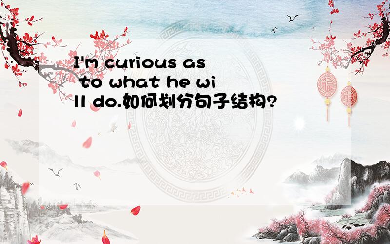 I'm curious as to what he will do.如何划分句子结构?